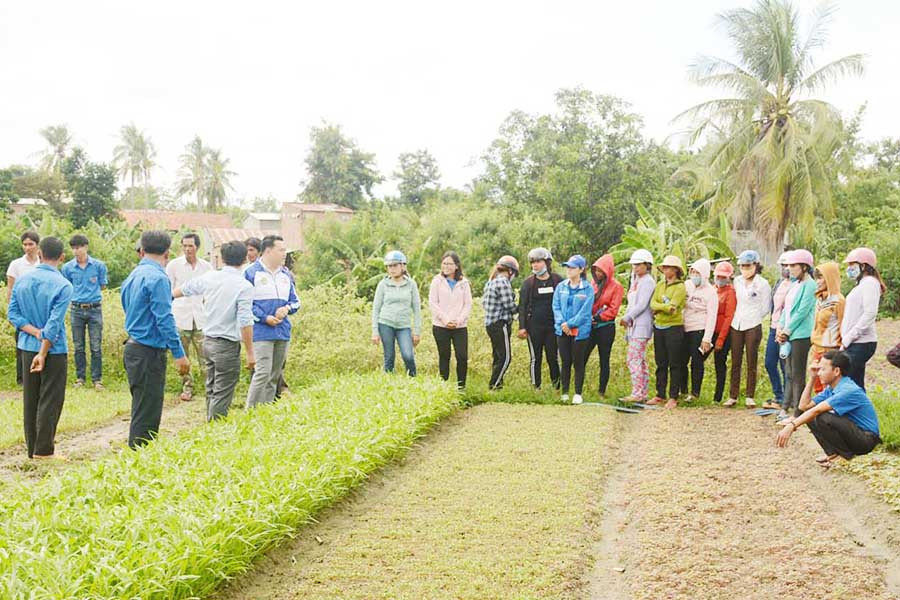 Đội trí thức trẻ tình nguyện tập huấn trồng rau sạch cho ĐVTN và bà con nông dân. Ảnh: H.Đ.T