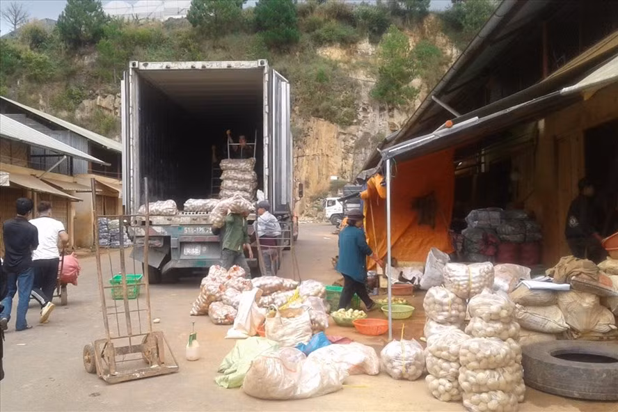 Khoai tây Trung Quốc tại Chợ Nông sản Đà Lạt.