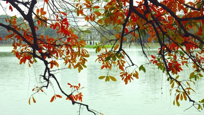  Mùa thu Hà Nội