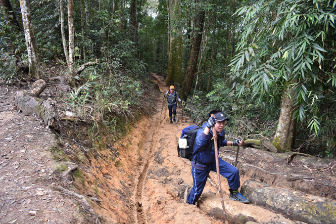 Hành trình mạo hiểm đi bộ xuyên rừng Tà Năng - Phan Dũng ẢNH: LÊ NAM