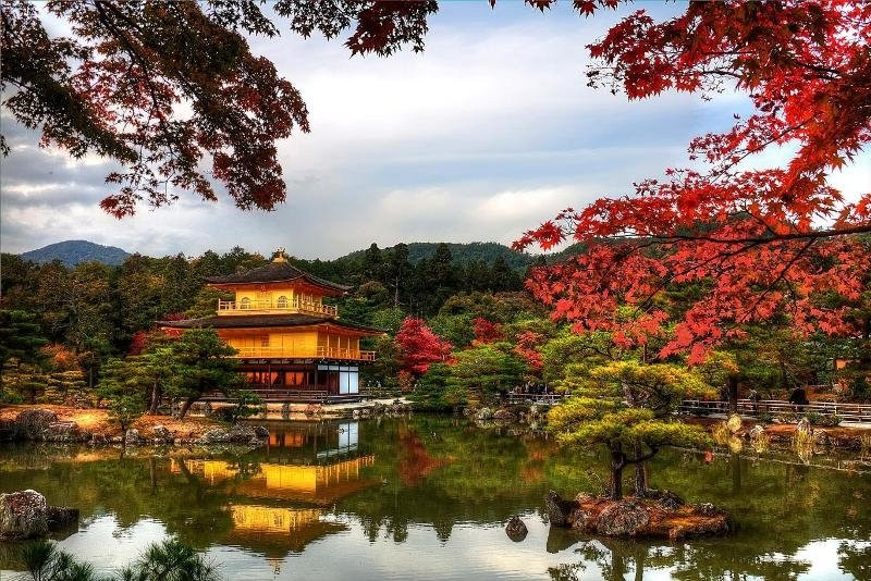 Nếu mùa xuân ở Nhật Bản gắn liền với hoa anh đào, thì mùa thu nơi đây lại rực rỡ với rừng lá phong đỏ. Vào khoảng thời gian từ tháng 10 đến tháng 11, cây phong ở đây sẽ bước vào mùa thay lá, ngả từ vàng sang màu đỏ rực rỡ. Vẻ đẹp của Kyoto hiện lên như bức tranh, khiến du khách không khỏi bị thu hút.