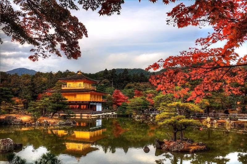 Nếu mùa xuân ở Nhật Bản gắn liền với hoa anh đào, thì mùa thu nơi đây lại rực rỡ với rừng lá phong đỏ. Vào khoảng thời gian từ tháng 10 đến tháng 11, cây phong ở đây sẽ bước vào mùa thay lá, ngả từ vàng sang màu đỏ rực rỡ. Vẻ đẹp của Kyoto hiện lên như bức tranh, khiến du khách không khỏi bị thu hút.