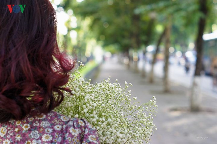  Hoa mùa thu Hà Nội đẹp dịu dàng và tinh khiết, phải chăng vậy nên mùa thu hay được nhắc đến trong thi ca về tình yêu nhiều sâu lắng của người dân nơi đây.