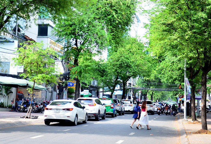 Trong nhịp sống hối hả, những tuyến phố này vẫn giữ được nét nhẹ nhàng, mộng mơ vốn có của thuở xa xưa nhờ hình ảnh lá me bay...