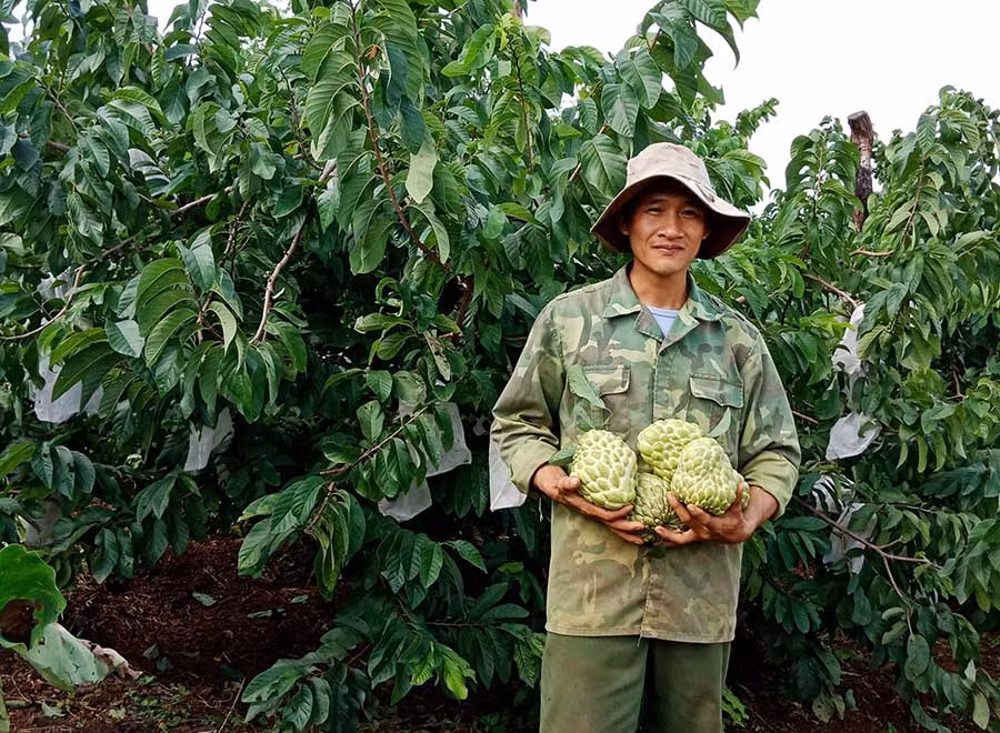  Anh Nguyễn Văn Sinh bên vườn na của gia đình. Ảnh: Lê Trang