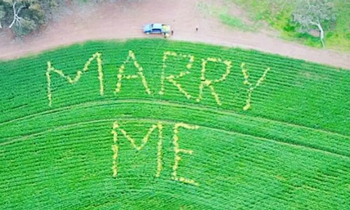  Dòng chữ được cắt trên cánh đồng lúa mỳ của anh nông dân. Ảnh: watoday.