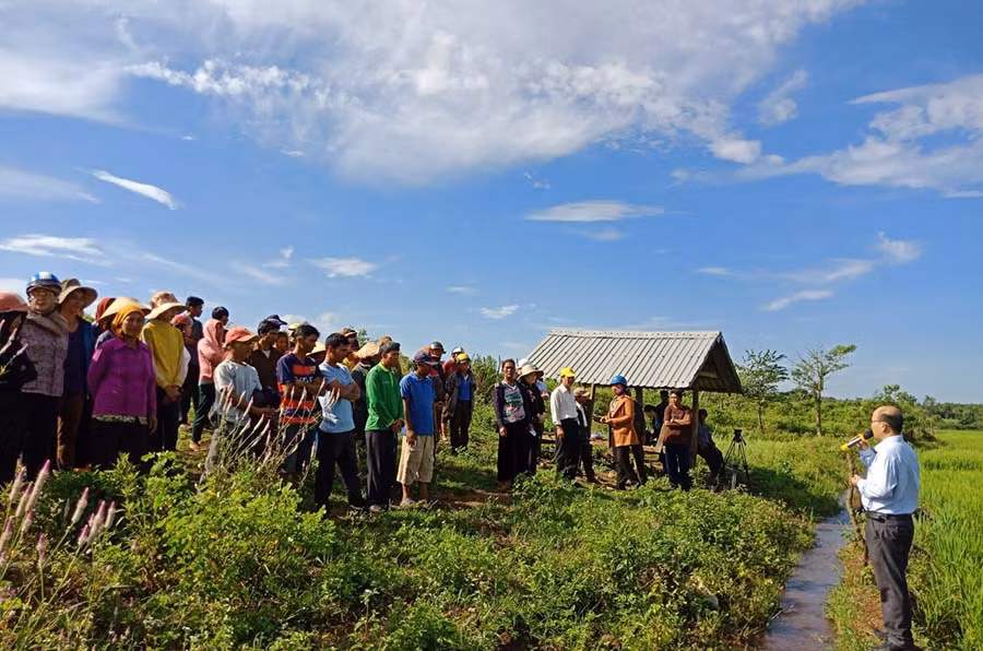 Hội viên phụ nữ tham quan cánh đồng lớn và được hướng dẫn quy mô, các bước triển khai xây dựng. Ảnh: Hoàng Ngọc