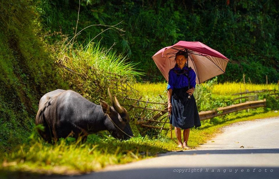  Trên cung đường Tây Bắc. Ảnh: Hà Nguyễn