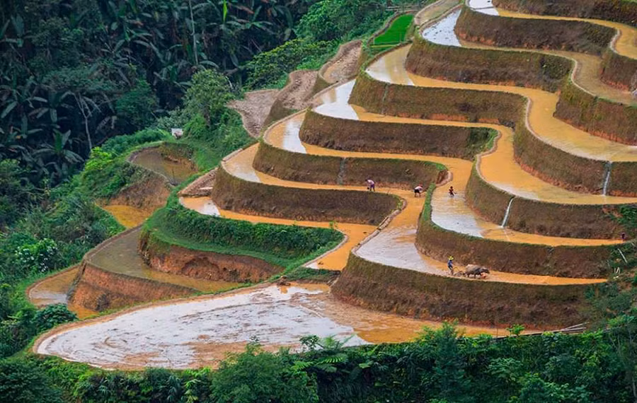 Ruộng bậc thang Tây Bắc mùa trổ nước