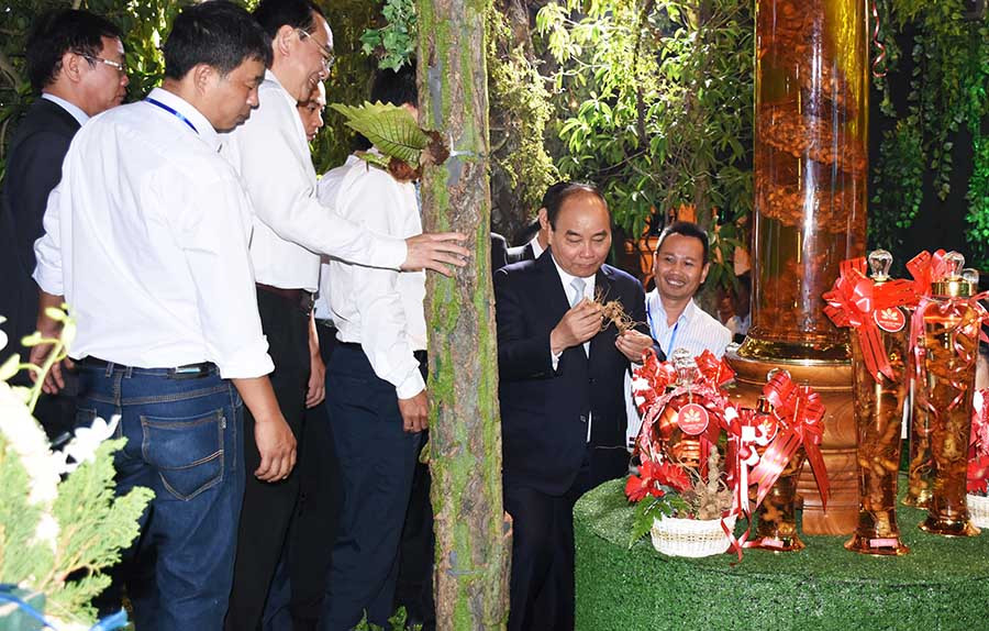 Thủ tướng Nguyễn Xuân Phúc thăm vườn sâm Ngọc Linh và điểm trưng bày sản phẩm của Công ty cổ phần Sâm Ngọc Linh Kon Tum tại huyện Tu Mơ Rông, tỉnh Kon Tum. Ảnh: M.T