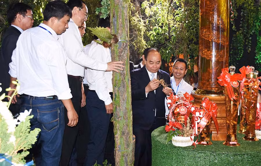 Thủ tướng Nguyễn Xuân Phúc thăm vườn sâm Ngọc Linh và điểm trưng bày sản phẩm của Công ty cổ phần Sâm Ngọc Linh Kon Tum tại huyện Tu Mơ Rông, tỉnh Kon Tum. Ảnh: M.T