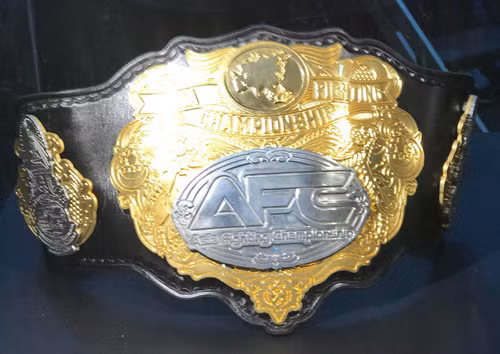 mề đai dây lưng lấp lánh vàng. Ảnh: T.T