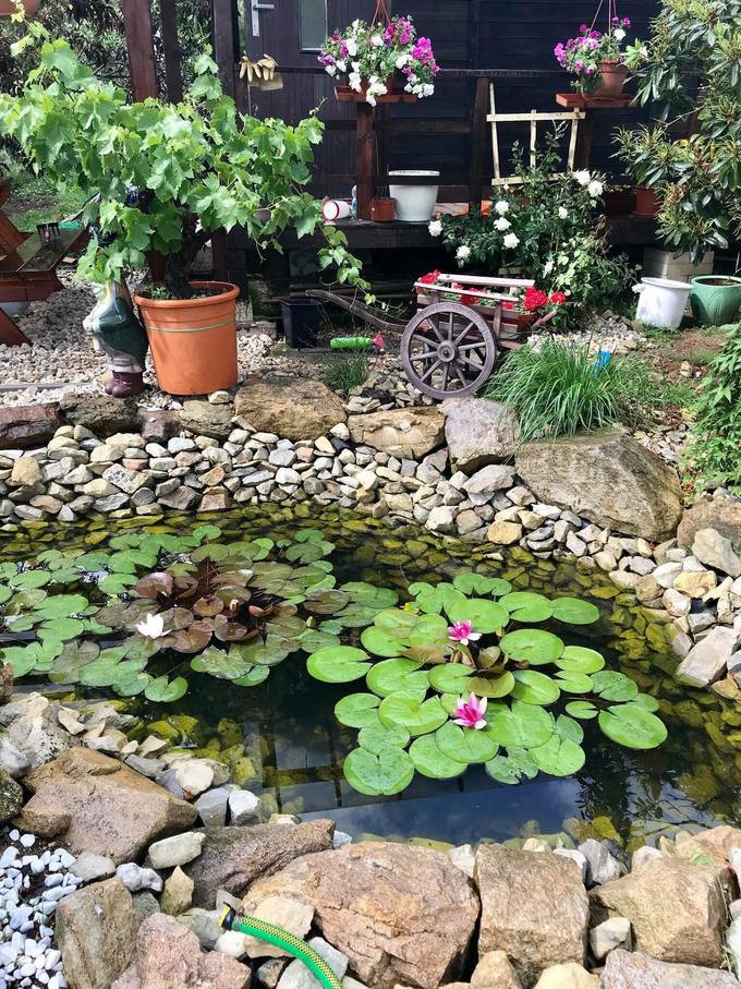 Đây là mảnh đất người chồng mua tặng vợ - như một chốn đi về để lưu giữ những thứ thuộc về Việt Nam. Đây là mảnh đất người chồng mua tặng vợ - như một chốn đi về để lưu giữ những thứ thuộc về Việt Nam.