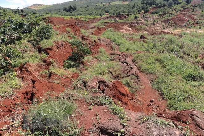 Con đường dân sinh và vườn càphê và phục vụ sản xuất nối liền 2 thôn bị lún nứt, hư hỏng nặng, các phương tiện không lưu thông được. (Ảnh: Đặng Tuấn/TTXVN)