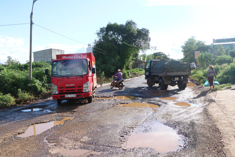 Chi chít ổ voi, ổ gà. Ảnh: Q.T