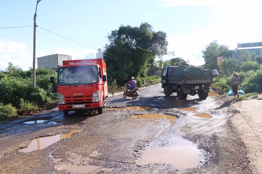 Chi chít ổ voi, ổ gà. Ảnh: Q.T