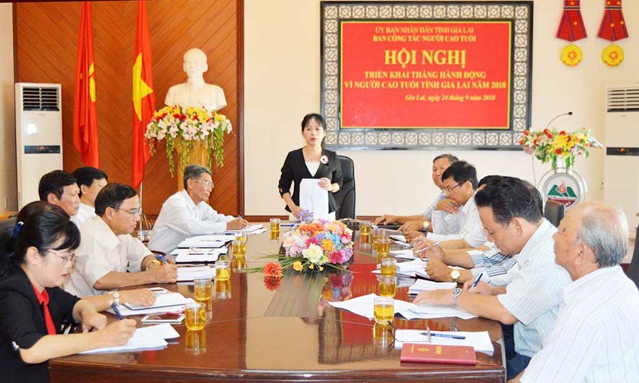  Ban Công tác NCT tỉnh triển khai Tháng Hành động vì NCT năm 2018. Ảnh: Đinh Yến