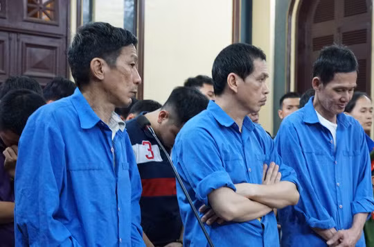 Các bị cáo phạm tội 