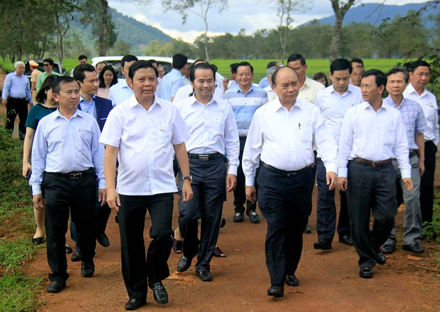 Thủ tướng thăm vườn chè 101 tuổi do ĐLGL đầu tư. Ảnh: Mai Tiên