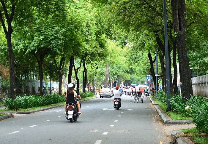 Hàng me xanh mát trên phố Nguyễn Du