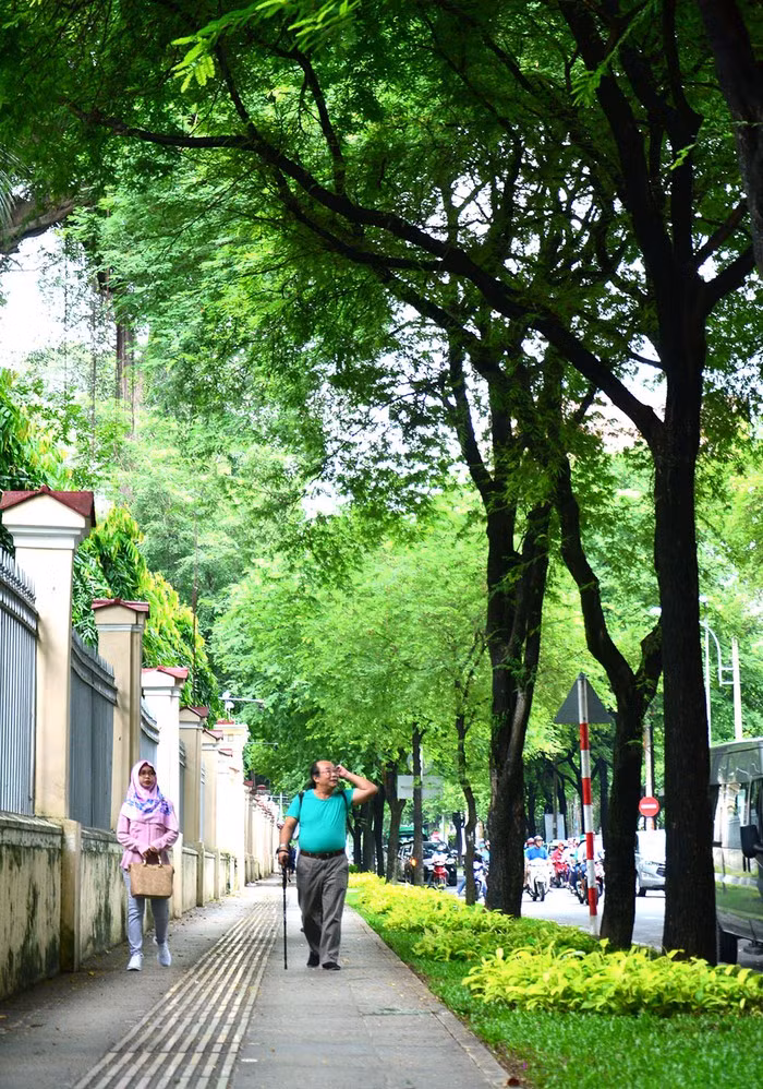 Không chỉ tạo nên vẻ đẹp nên thơ cho trung tâm TP. Hồ Chí Minh, hàng me xanh còn tạo ra không gian xanh mát cho người dân và du khách đi bộ trên vỉa hè