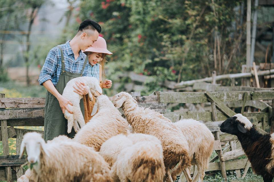 Ảnh Nguyễn Xuân Diễn 