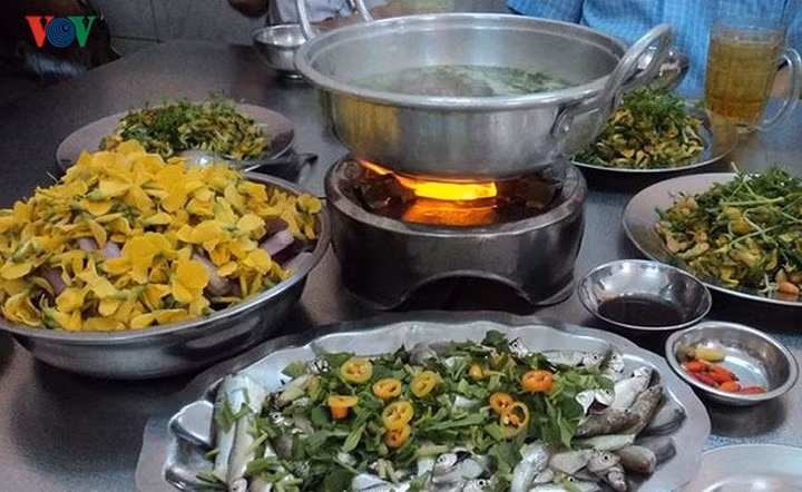 Ăn tối với món lẩu cá Linh, bông điên điển - một đặc sản Đồng Tháp Mười mùa nước nổi mà du khách không nên bỏ qua.