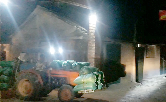 Trong đêm, từng đoàn xe chở lúa từ ruộng vào tận nhà nông dân