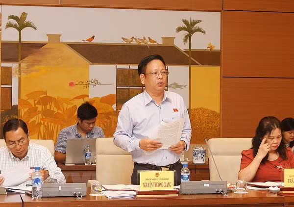  Phó Chủ nhiệm Ủy ban Pháp luật của Quốc hội NguyễnTrường Giang phát biểu. (Ảnh: Nguyễn Dân/TTXVN)