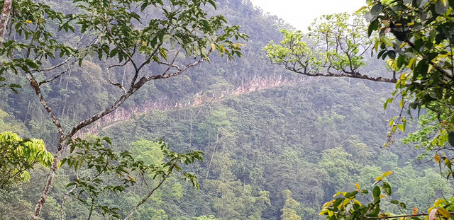 Con đường độc đạo vào điểm trường Xà Phìn, một bên là vách núi, một bên là vực thẳm sâu hun hút.