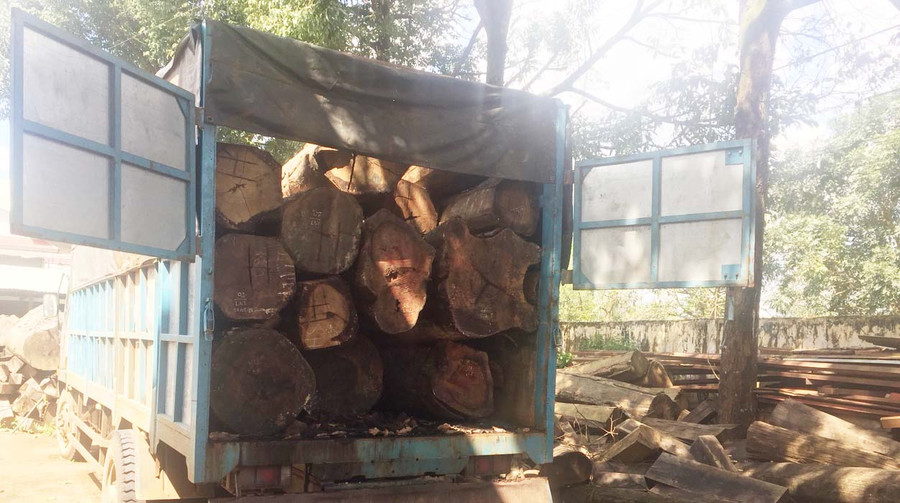 Tang vật và phương tiện vi phạm được cơ quan chức năng phát hiện, thu giữ.Ảnh: Chí Hào