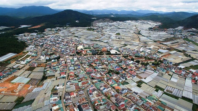 Nhà kính chen chúc giữa các khu dân cư