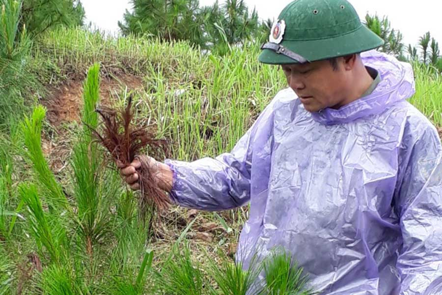 Ảnh: Nguyễn Diệp