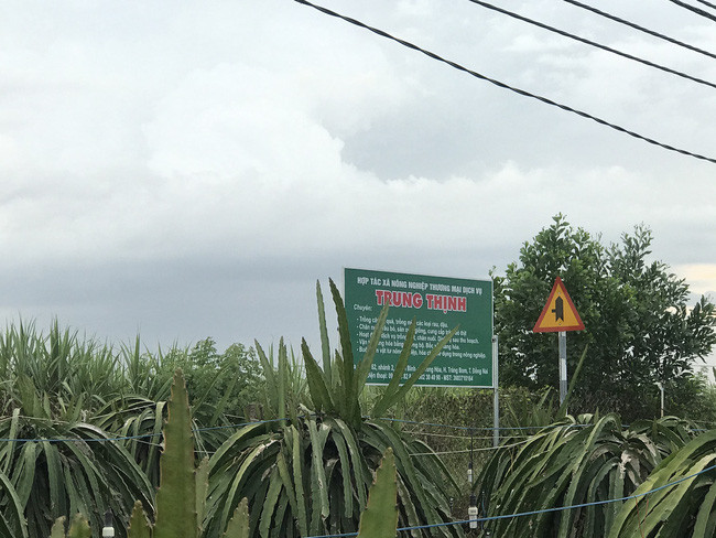 Để tìm hiểu về mô hình làm kinh tế theo hướng 