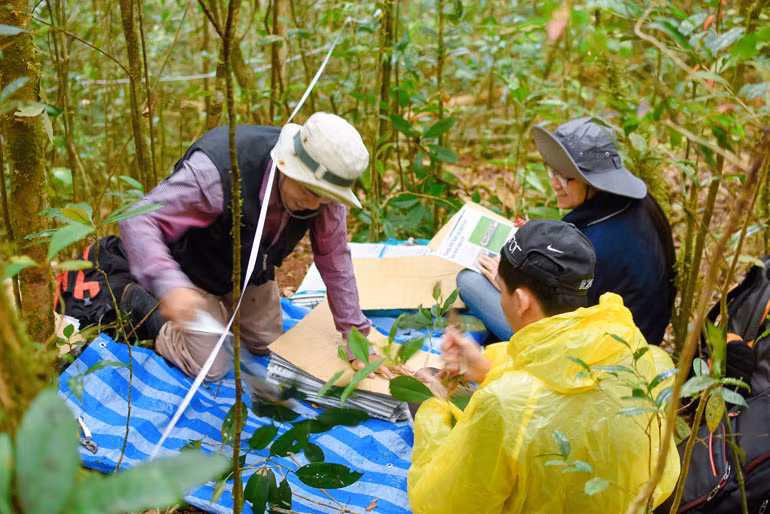 Thu thập mẫu vật