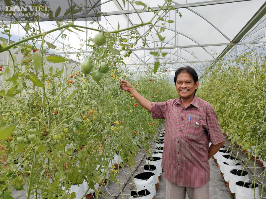 Ông Châu Văn Quang (61 tuổi) – Giám đốc Hợp tác xã chế tác đá hoa cương Bảo Thắng Phù Mỹ.