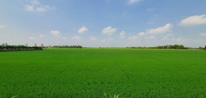  Hai bên đường đến 