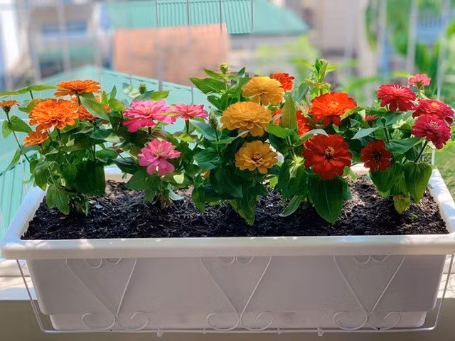 Hiện tại, nữ MC đang có cuộc sống hạnh phúc bên ông xã và các con. Ảnh: NVCC.