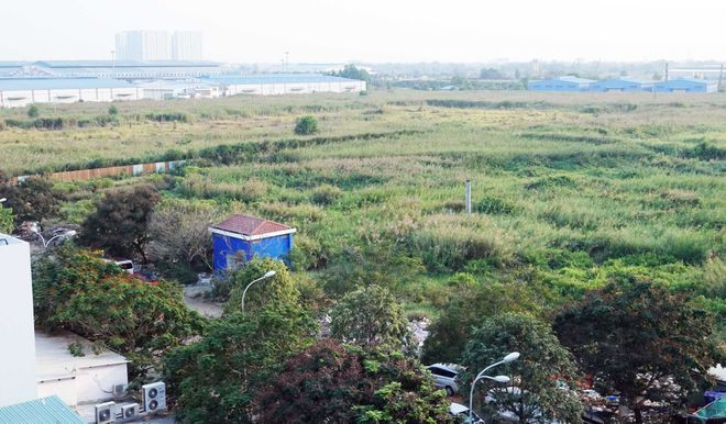 Dự án bất động sản bỏ hoang tại TP.HCM. ẢNH: NGỌC THẠCH Dự án bất động sản bỏ hoang tại TP.HCM. ẢNH: NGỌC THẠCH