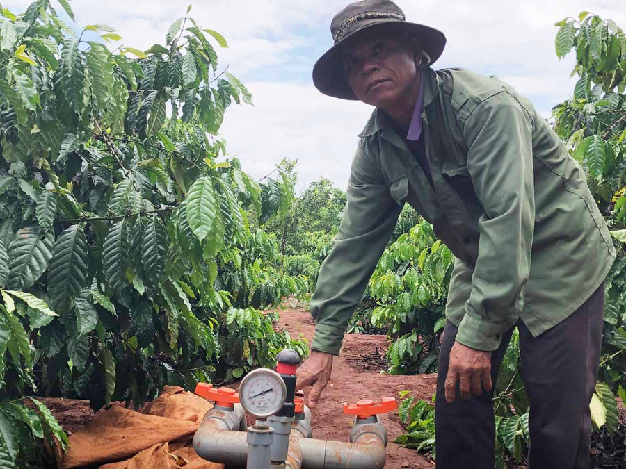 Ông Rơ Châm Hyur (làng Kép 1, xã Ia Mơ Nông, huyện Chư Păh) mở hệ thống tưới tiết kiệm cho vườn cà phê. Ảnh: Lê Nam Ông Rơ Châm Hyur (làng Kép 1, xã Ia Mơ Nông, huyện Chư Păh) mở hệ thống tưới tiết kiệm cho vườn cà phê . Ảnh: Lê Nam