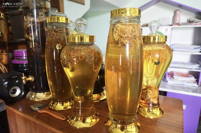 Sản phẩm rượu ngâm nấm đông trùng hạ thảo do anh Hùng sản xuất.