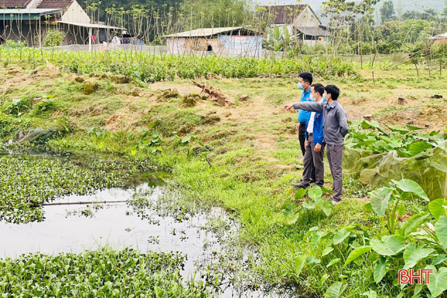 Anh Đặng Công Hảo khởi nghiệp với mô hình nuôi ốc nhồi, mang lại hiệu quả kinh tế cao.