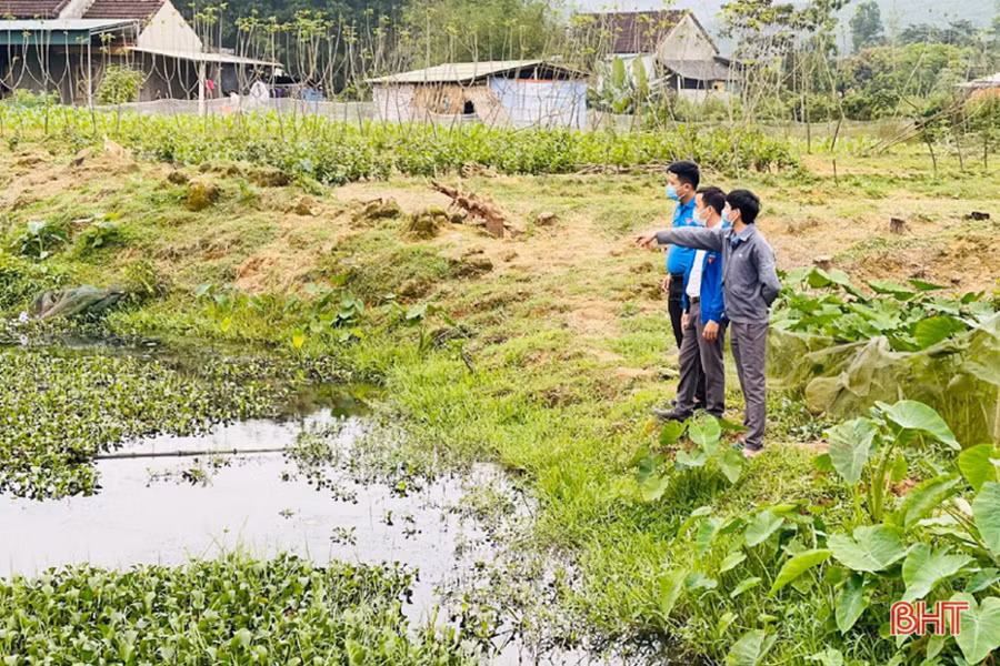 Anh Đặng Công Hảo khởi nghiệp với mô hình nuôi ốc nhồi, mang lại hiệu quả kinh tế cao.
