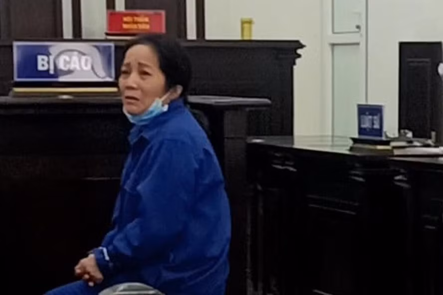 Bị cáo Nguyễn Thị Hồng, lừa đảo 