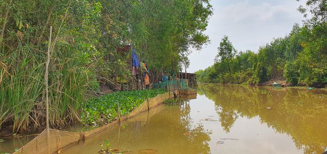  Cảnh sông nước yên bình, hoang sơ - Ảnh: Tấn Đạt