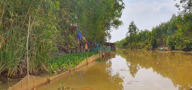  Cảnh sông nước yên bình, hoang sơ - Ảnh: Tấn Đạt