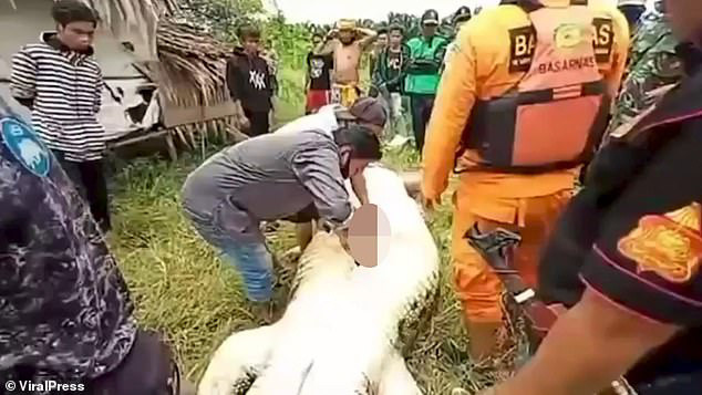 Dân làng mổ bụng con cá sấu. Ảnh: Viral Press Dân làng mổ bụng con cá sấu. Ảnh: Viral Press