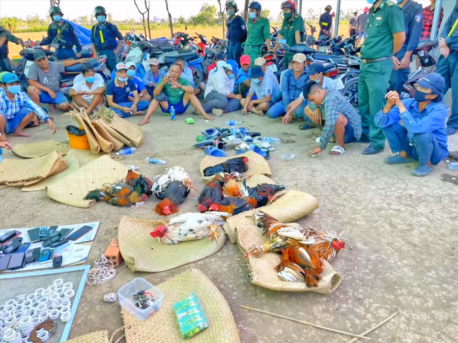 Hiện trường vụ việc. Ảnh: P.V Hiện trường vụ việc. Ảnh: P.V