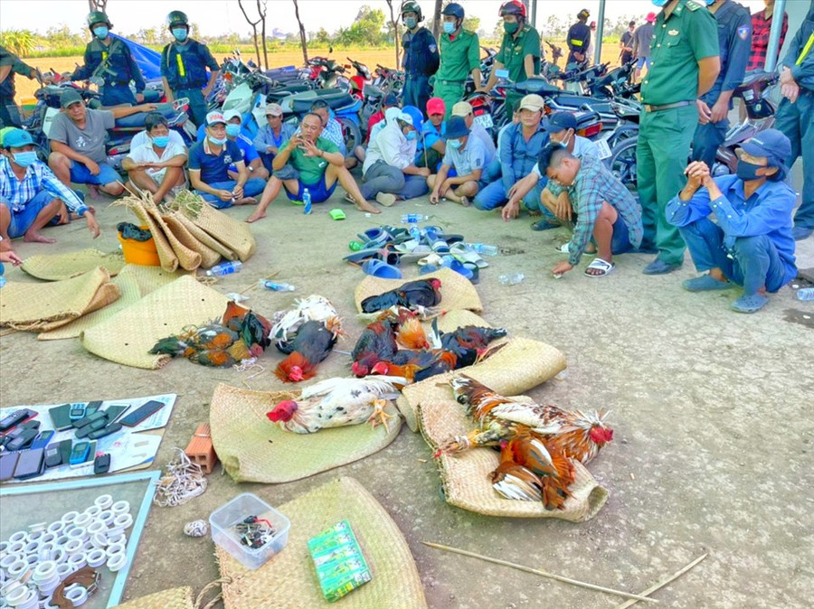 Hiện trường vụ việc. Ảnh: P.V