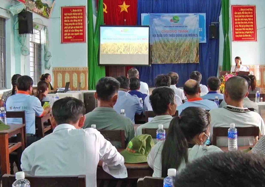  Hội thảo giới thiệu giống lúa mới. Ảnh: Anh Huy